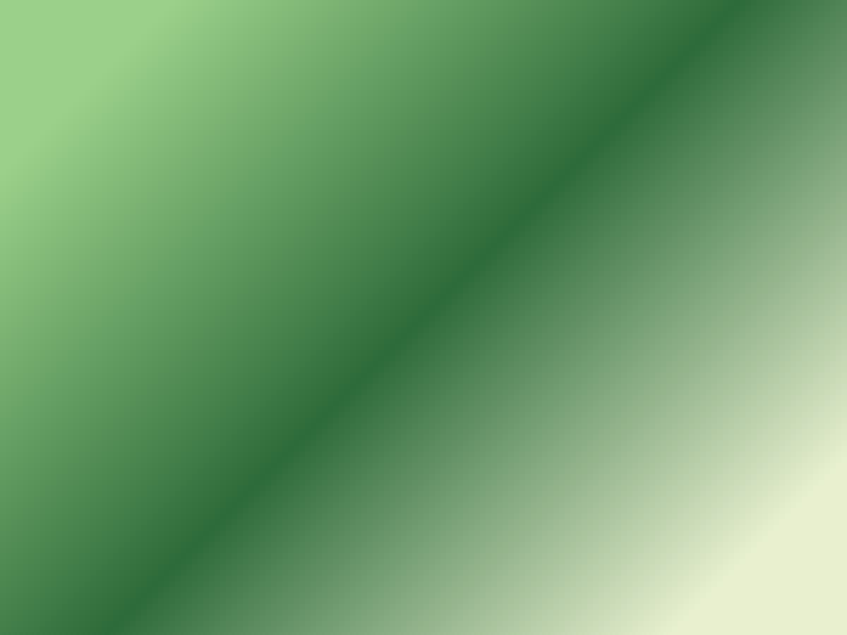 garden3d